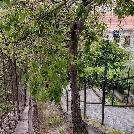 Castle Apartament *